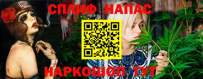 прущие грибы Туймазы