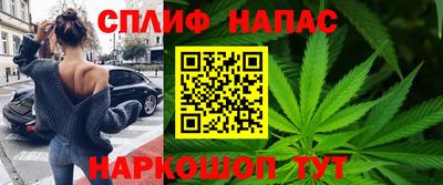 прущие грибы Туймазы