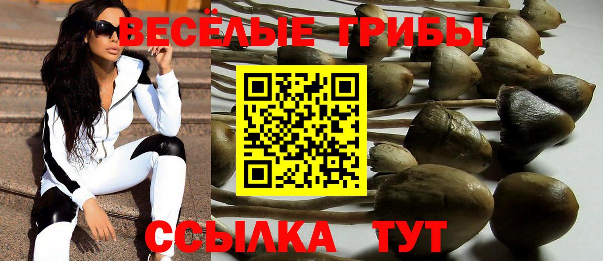 Дятьково  Галлюциногенные грибы мицелий  Вход с VPN 